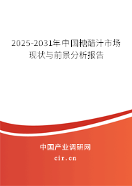 2025-2031年中國糖醋汁市場現(xiàn)狀與前景分析報告