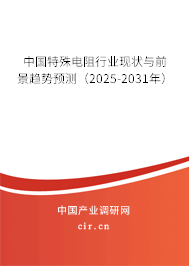 中國(guó)特殊電阻行業(yè)現(xiàn)狀與前景趨勢(shì)預(yù)測(cè)（2025-2031年）