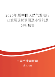 2025年版中國天然氣發(fā)電行業(yè)發(fā)展現(xiàn)狀調(diào)研及市場前景分析報告