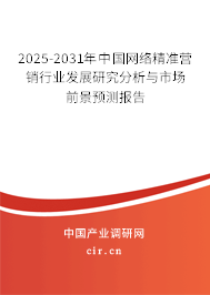 2025-2031年中國網絡精準營銷行業(yè)發(fā)展研究分析與市場前景預測報告