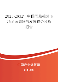 2025-2031年中國網絡視頻市場全面調研與發(fā)展趨勢分析報告