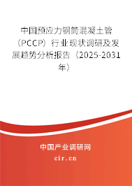 中國(guó)預(yù)應(yīng)力鋼筒混凝土管（PCCP）行業(yè)現(xiàn)狀調(diào)研及發(fā)展趨勢(shì)分析報(bào)告（2025-2031年）