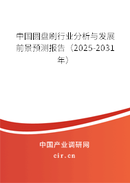 中國(guó)圓盤(pán)刷行業(yè)分析與發(fā)展前景預(yù)測(cè)報(bào)告（2025-2031年）