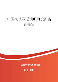 中國(guó)棱鏡及透鏡項(xiàng)目投資咨詢報(bào)告