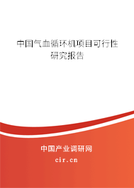 中國氣血循環(huán)機(jī)項(xiàng)目可行性研究報(bào)告