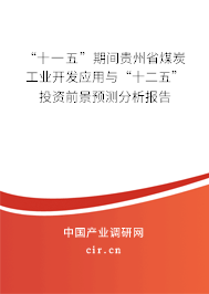 “十一五”期間貴州省煤炭工業(yè)開發(fā)應(yīng)用與“十二五”投資前景預(yù)測分析報(bào)告