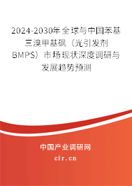 2024-2030年全球與中國苯基三溴甲基砜（光引發(fā)劑 BMPS）市場現(xiàn)狀深度調(diào)研與發(fā)展趨勢預(yù)測
