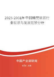 2025-2031年中國觸覺裝置行業(yè)現(xiàn)狀與發(fā)展前景分析
