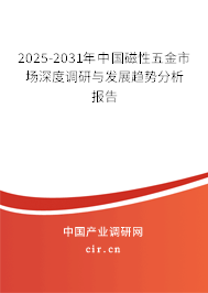 2025-2031年中國(guó)磁性五金市場(chǎng)深度調(diào)研與發(fā)展趨勢(shì)分析報(bào)告