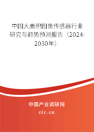 中國(guó)大面積圖像傳感器行業(yè)研究與趨勢(shì)預(yù)測(cè)報(bào)告（2024-2030年）