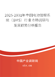 2025-2031年中國(guó)電池管理系統(tǒng)（BMS）行業(yè)市場(chǎng)調(diào)研與發(fā)展趨勢(shì)分析報(bào)告