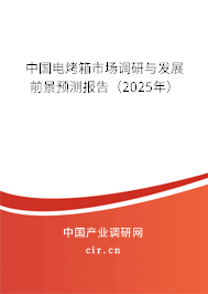 中國電烤箱市場調(diào)研與發(fā)展前景預(yù)測報告（2025年）