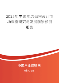 2025年中國電力勘察設計市場調查研究與發(fā)展前景預測報告