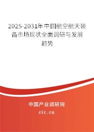 2025-2031年中國(guó)航空航天裝備市場(chǎng)現(xiàn)狀全面調(diào)研與發(fā)展趨勢(shì)