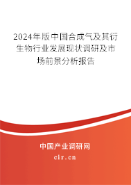 2024年版中國合成氣及其衍生物行業(yè)發(fā)展現(xiàn)狀調(diào)研及市場前景分析報告