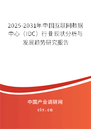 2025-2031年中國互聯(lián)網(wǎng)數(shù)據(jù)中心（IDC）行業(yè)現(xiàn)狀分析與發(fā)展趨勢研究報(bào)告