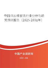 中國(guó)IT運(yùn)維服務(wù)行業(yè)分析與趨勢(shì)預(yù)測(cè)報(bào)告（2025-2031年）