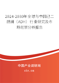 2024-2030年全球與中國己二酰肼（ADH）行業(yè)研究及市場前景分析報告