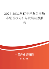 2025-2031年遼寧汽車后市場市場現(xiàn)狀分析與發(fā)展前景報告