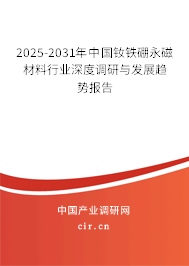 2025-2031年中國釹鐵硼永磁材料行業(yè)深度調(diào)研與發(fā)展趨勢報告