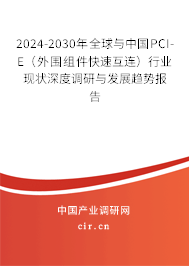 2024-2030年全球與中國PCI-E（外圍組件快速互連）行業(yè)現(xiàn)狀深度調研與發(fā)展趨勢報告
