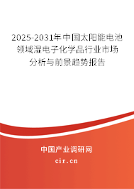 2025-2031年中國(guó)太陽(yáng)能電池領(lǐng)域濕電子化學(xué)品行業(yè)市場(chǎng)分析與前景趨勢(shì)報(bào)告