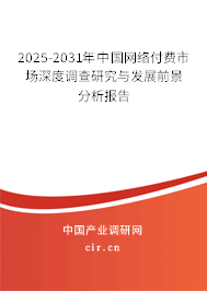 2025-2031年中國網絡付費市場深度調查研究與發(fā)展前景分析報告