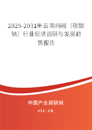 2025-2031年云南純堿（碳酸鈉）行業(yè)現(xiàn)狀調(diào)研與發(fā)展趨勢報告