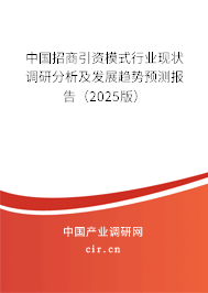 中國招商引資模式行業(yè)現(xiàn)狀調(diào)研分析及發(fā)展趨勢預(yù)測報告（2025版）