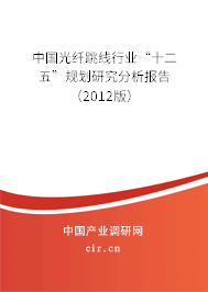 中國光纖跳線行業(yè)“十二五”規(guī)劃研究分析報告（2012版）