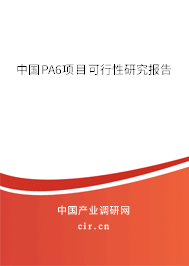 中國PA6項目可行性研究報告