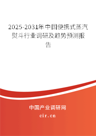 2025-2031年中國便攜式蒸汽熨斗行業(yè)調研及趨勢預測報告