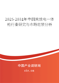 2025-2031年中國充放電一體槍行業(yè)研究與市場前景分析