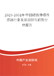 2025-2031年中國磁致伸縮傳感器行業(yè)發(fā)展調(diào)研與趨勢分析報(bào)告