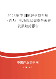 2025年中國地理信息系統(tǒng)（GIS）市場現(xiàn)狀調(diào)查與未來發(fā)展趨勢報告