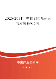 2025-2031年中國鋼市場研究與發(fā)展趨勢分析