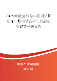 2025年版全球與中國鋼軌探傷車市場現(xiàn)狀調(diào)研與發(fā)展前景趨勢分析報告