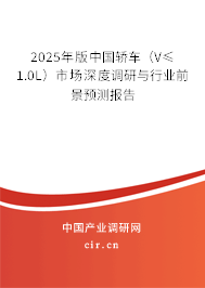 2025年版中國(guó)轎車（V≤1.0L）市場(chǎng)深度調(diào)研與行業(yè)前景預(yù)測(cè)報(bào)告