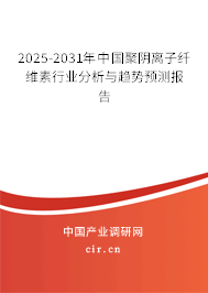 2025-2031年中國聚陰離子纖維素行業(yè)分析與趨勢預(yù)測報(bào)告