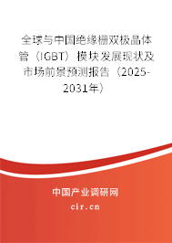 全球與中國絕緣柵雙極晶體管（IGBT）模塊發(fā)展現(xiàn)狀及市場前景預(yù)測報告（2025-2031年）