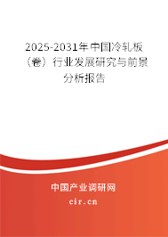 2025-2031年中國(guó)冷軋板（卷）行業(yè)發(fā)展研究與前景分析報(bào)告
