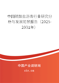中國硫酸鹽瀝青行業(yè)研究分析與發(fā)展前景報告（2025-2031年）