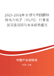 2025-2031年全球與中國模塊級電力電子（MLPE）行業(yè)發(fā)展深度調(diào)研與未來趨勢報(bào)告