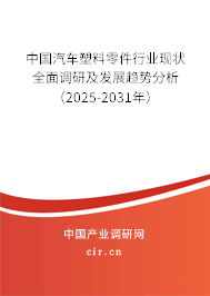 中國(guó)汽車(chē)塑料零件行業(yè)現(xiàn)狀全面調(diào)研及發(fā)展趨勢(shì)分析（2025-2031年）