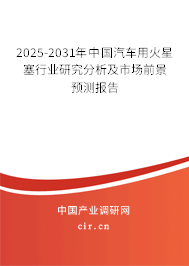 2025-2031年中國(guó)汽車用火星塞行業(yè)研究分析及市場(chǎng)前景預(yù)測(cè)報(bào)告
