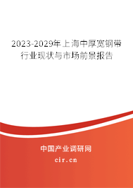 2023-2029年上海中厚寬鋼帶行業(yè)現(xiàn)狀與市場前景報(bào)告