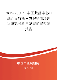 2025-2031年中國數(shù)據(jù)中心IT基礎(chǔ)設(shè)施第三方服務(wù)市場(chǎng)現(xiàn)狀研究分析與發(fā)展前景預(yù)測(cè)報(bào)告