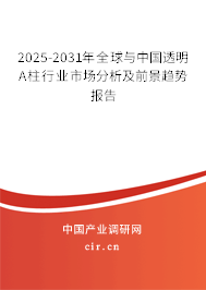 2025-2031年全球與中國透明A柱行業(yè)市場分析及前景趨勢報告