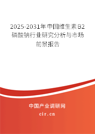 2025-2031年中國維生素B2磷酸鈉行業(yè)研究分析與市場前景報告