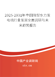 2025-2031年中國微型水力發(fā)電機行業(yè)發(fā)展全面調(diào)研與未來趨勢報告